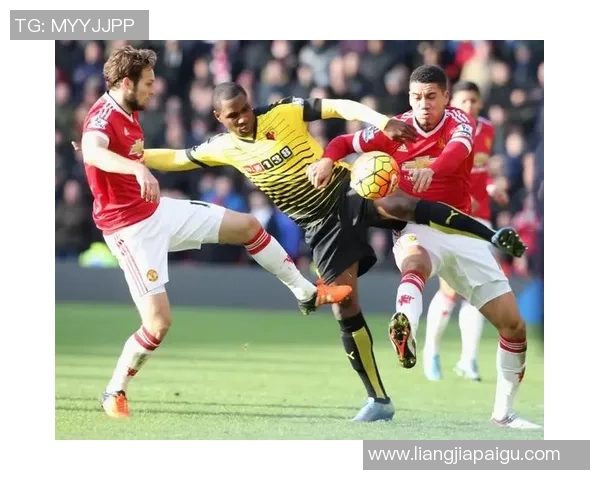 篮球明星Milk的传奇之路与梦想追逐的精彩瞬间